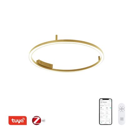 Immax NEO 07291-80G - LED+CCT Plafonnier dimmable FINO LED/55W/230V 2700-6500K Tuya Ø 80 cm + télécommande