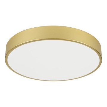 Immax NEO 07292L - LED+CCT Dimbare plafondlamp SEMPLICI LED/36W/230V 2700-6500K Ø 40 cm + afstandsbediening