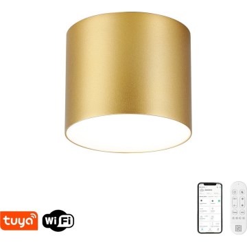 Immax NEO 07317L - Plafonnier LED dimmable RONDATE LED/18W/230V Ø 11,5 cm Wi-Fi Tuya doré