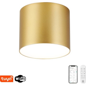 Immax NEO 07318L - Plafonnier LED dimmable RONDATE LED/32W/230V Ø 16,5 cm Wi-Fi Tuya doré