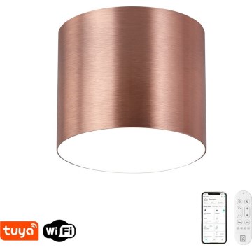 Immax NEO 07320L - Luminaire de plafond LED dimmable RONDATE LED/32W/230V Ø 16,5 cm Wi‑Fi Tuya, finition or rose