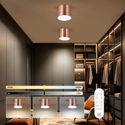 Immax NEO 07320L - Luminaire de plafond LED dimmable RONDATE LED/32W/230V Ø 16,5 cm Wi‑Fi Tuya, finition or rose