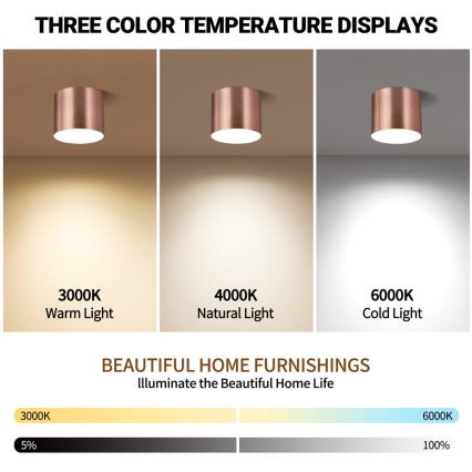 Immax NEO 07320L - Luminaire de plafond LED dimmable RONDATE LED/32W/230V Ø 16,5 cm Wi‑Fi Tuya, finition or rose