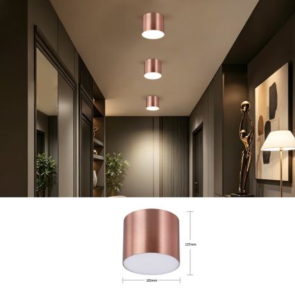 Immax NEO 07320L - Luminaire de plafond LED dimmable RONDATE LED/32W/230V Ø 16,5 cm Wi‑Fi Tuya, finition or rose