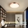 Immax NEO 07321L - dimbare LED-plafondlamp NEO LITE SEMPLICI LED/36W/230V Ø 40 cm koperkleurig + afstandsbediening