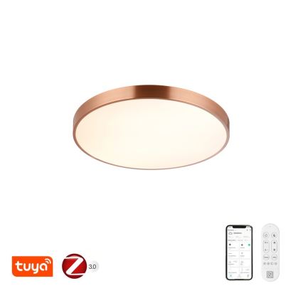 Immax NEO 07322L - Plafonnier LED dimmable NEO LITE SEMPLICI LED/60W/230V Ø 60 cm compatible Tuya, finition or rose, avec télécommande