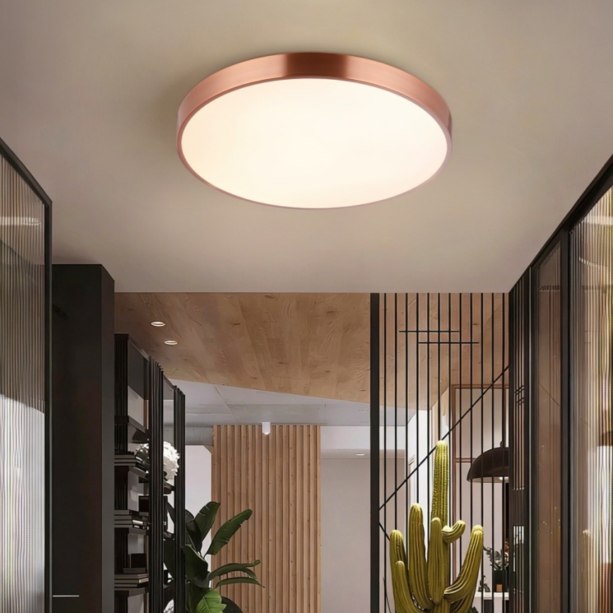 Immax NEO 07322L - Plafonnier LED dimmable NEO LITE SEMPLICI LED/60W/230V Ø 60 cm compatible Tuya, finition or rose, avec télécommande