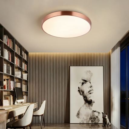 Immax NEO 07322L - Plafonnier LED dimmable NEO LITE SEMPLICI LED/60W/230V Ø 60 cm compatible Tuya, finition or rose, avec télécommande