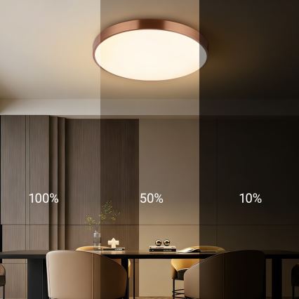 Immax NEO 07322L - Plafonnier LED dimmable NEO LITE SEMPLICI LED/60W/230V Ø 60 cm compatible Tuya, finition or rose, avec télécommande