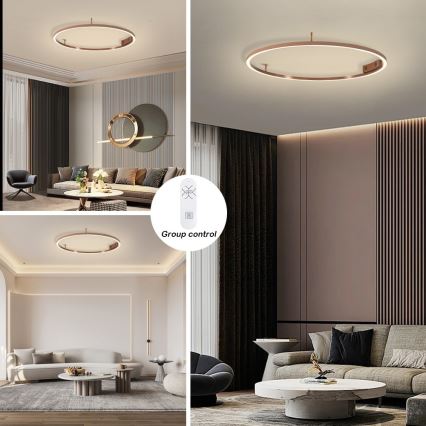 Immax NEO 07326-80C - Plafonnier LED dimmable FINO LED/55W/230V 80 cm Tuya or rose + télécommande