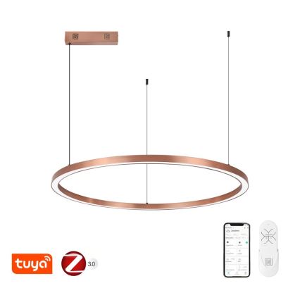 Immax NEO 07327L - Suspension LED dimmable sur câble FINO, 55 W, 230 V, 80 cm, finition or rose, compatible Tuya avec télécommande