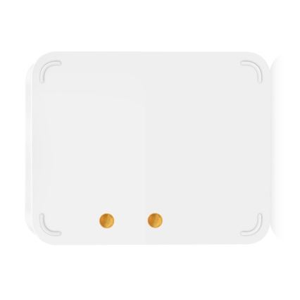 Immax NEO 07519L - Détecteur de fuites d'eau connecté 2xAAA Tuya