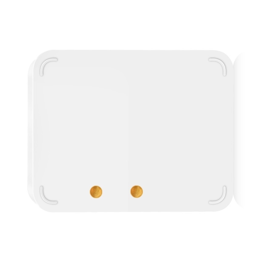 Immax NEO 07519L - Détecteur de fuites d'eau connecté 2xAAA Tuya