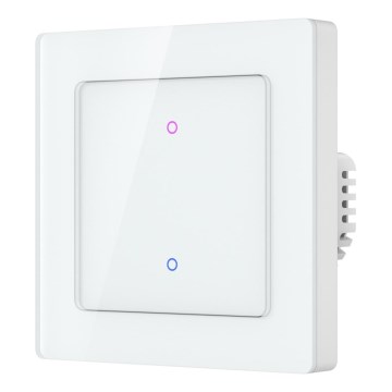 Immax NEO 07539L - Interrupteur à 2 boutons SMART 230V Wi-Fi Tuya