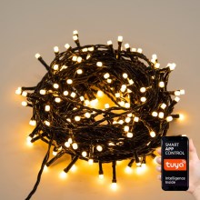 Immax NEO 07755L - LED Dimbaar buitenshuis Kerst lichtsnoer NEO LITE 400xLED/8 Functies 43m IP44 Wi-Fi Tuya warm wit