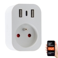 Immax NEO 07772L - Multiprise connectée 16A/230V avec 2 ports USB et 1 port USB-C, Wi-Fi Tuya