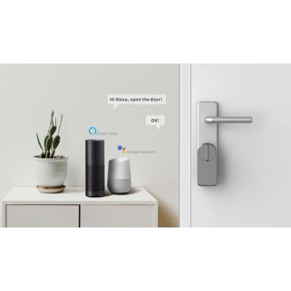 Immax NEO 07815L - Serrure de porte intelligente avec clavier, alimentée par 4xAA + 2xAA, compatible Tuya