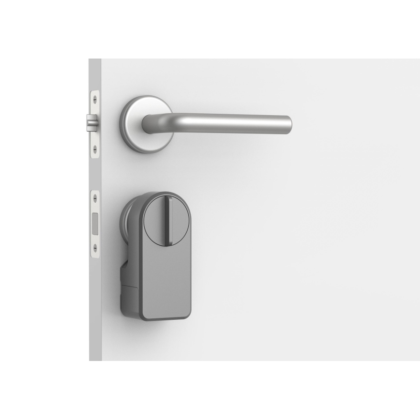 Immax NEO 07815L - Serrure de porte intelligente avec clavier, alimentée par 4xAA + 2xAA, compatible Tuya