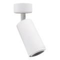 Inbouwspot MICA 1xGU10/25W/230V wit