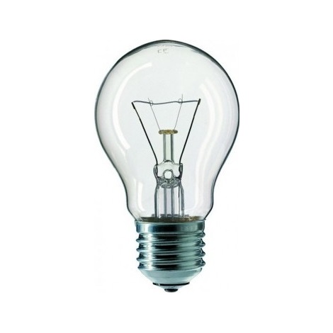 Industrie Lamp CLEAR E27/75W/240V
