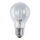 Industrie Lamp E27/100W/230V 2700K