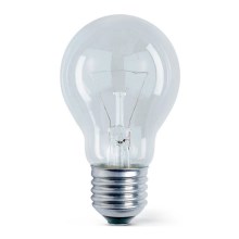 Industrie Lamp E27/200W/230V
