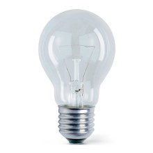 Industrie Lamp E27/75W/230V
