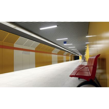 Industrie TL-Buis LIMEA T8 2xG13/10W/230V IP65 1500mm