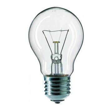 Industriële lamp E27/60W/230V 2200K