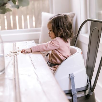 Ingenuity - Rehausseur pour table à manger 2en1 BABY BASE gris