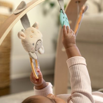 Ingenuity - Tapis d'éveil pour bébé ELEPHANT MARCH