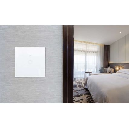 Interrupteur intérieur SWITCH 1000W/230V Wi-Fi Tuya