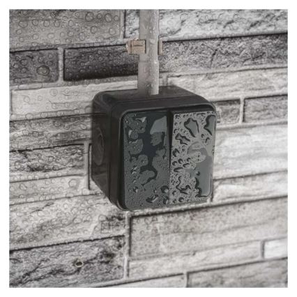 Interrupteur mural à 2 boutons va-et-vient n° 6+6 IP55 anthracite