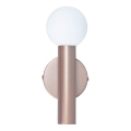 ITALUX - Applique murale FILANO 1xG9/5W/230V or rose