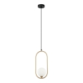 ITALUX - Hanglamp aan een koord LUPUS 1xG9/25W/230V zwart/goud