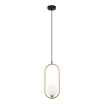 ITALUX - Hanglamp aan een koord LUPUS 1xG9/25W/230V zwart/goud