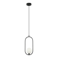 ITALUX - Hanglamp aan een koord LUPUS 1xG9/25W/230V zwart