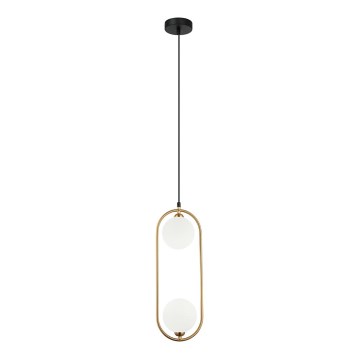 ITALUX - Hanglamp aan een koord LUPUS 2xG9/25W/230V zwart/goud