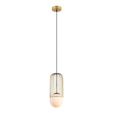 ITALUX - Hanglamp aan een koord MATTY 1xE27/40W/230V diameter 15 cm goud