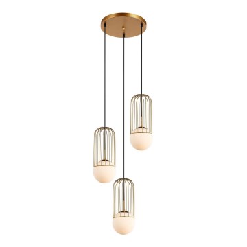 ITALUX - Hanglamp aan een koord MATTY 3xE27/40W/230V goud