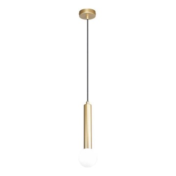 ITALUX - Hanglamp met kabel FILANO 1xG9/5W/230V goudkleurig