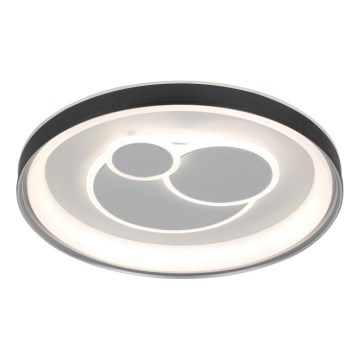 ITALUX - LED Dimbare plafondlamp FLORINA LED/46W/230V 3000/4000/6500K Ø 49 cm zwart + afstandsbediening