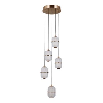 ITALUX - Lustre LED suspendu sur câble ALANI 5xLED/5,6W/230V 3000K doré