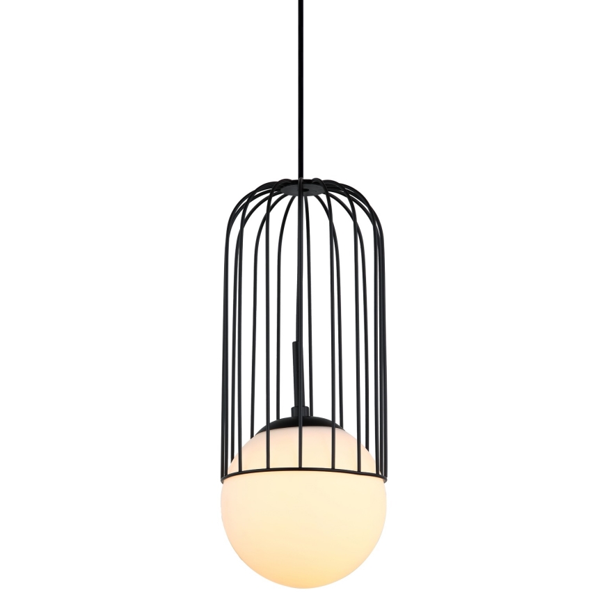 ITALUX - Hanglamp aan een koord MATTY 1xE27/40W/230V diameter 15 cm zwart