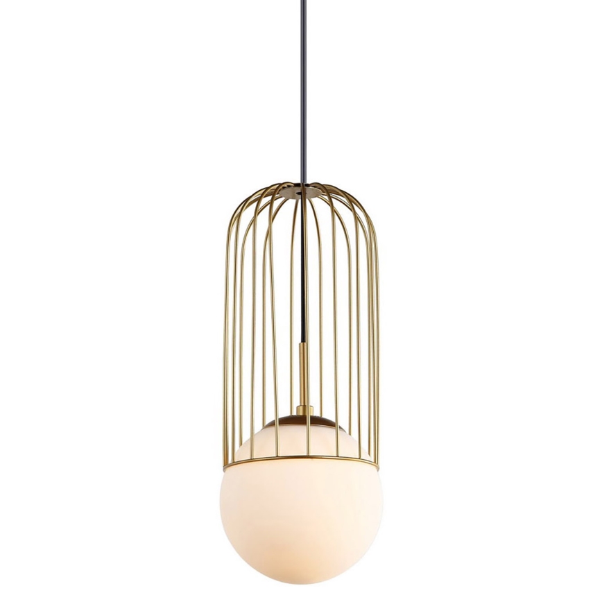 ITALUX - Hanglamp aan een koord MATTY 1xE27/40W/230V diameter 15 cm goud