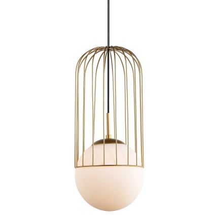 ITALUX - Hanglamp aan een koord MATTY 1xE27/40W/230V diameter 20 cm goud