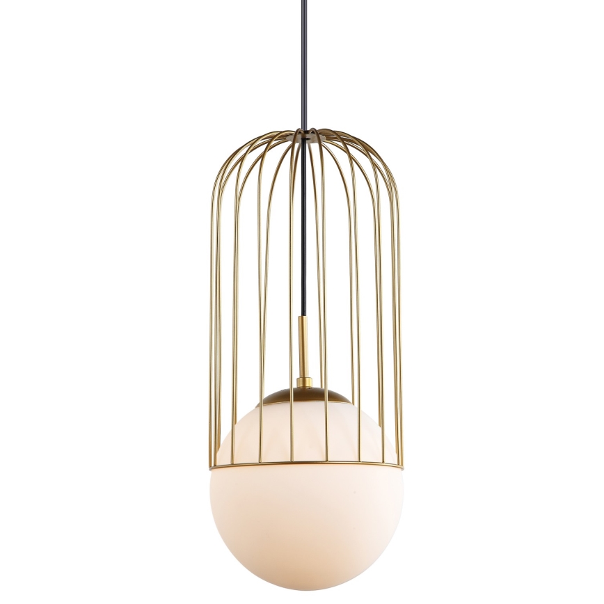 ITALUX - Hanglamp aan een koord MATTY 1xE27/40W/230V diameter 20 cm goud