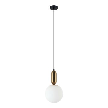 ITALUX - Suspension filaire ALDEVA 1xE27/40W/230V d. 20 cm noir/bronze