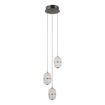 ITALUX - Suspension LED sur câble ALANI 3xLED/5W/230V 3000K noir/doré