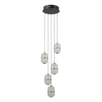 ITALUX - Suspension LED sur câble ALANI 5xLED/5,6W/230V 3000K noir/doré